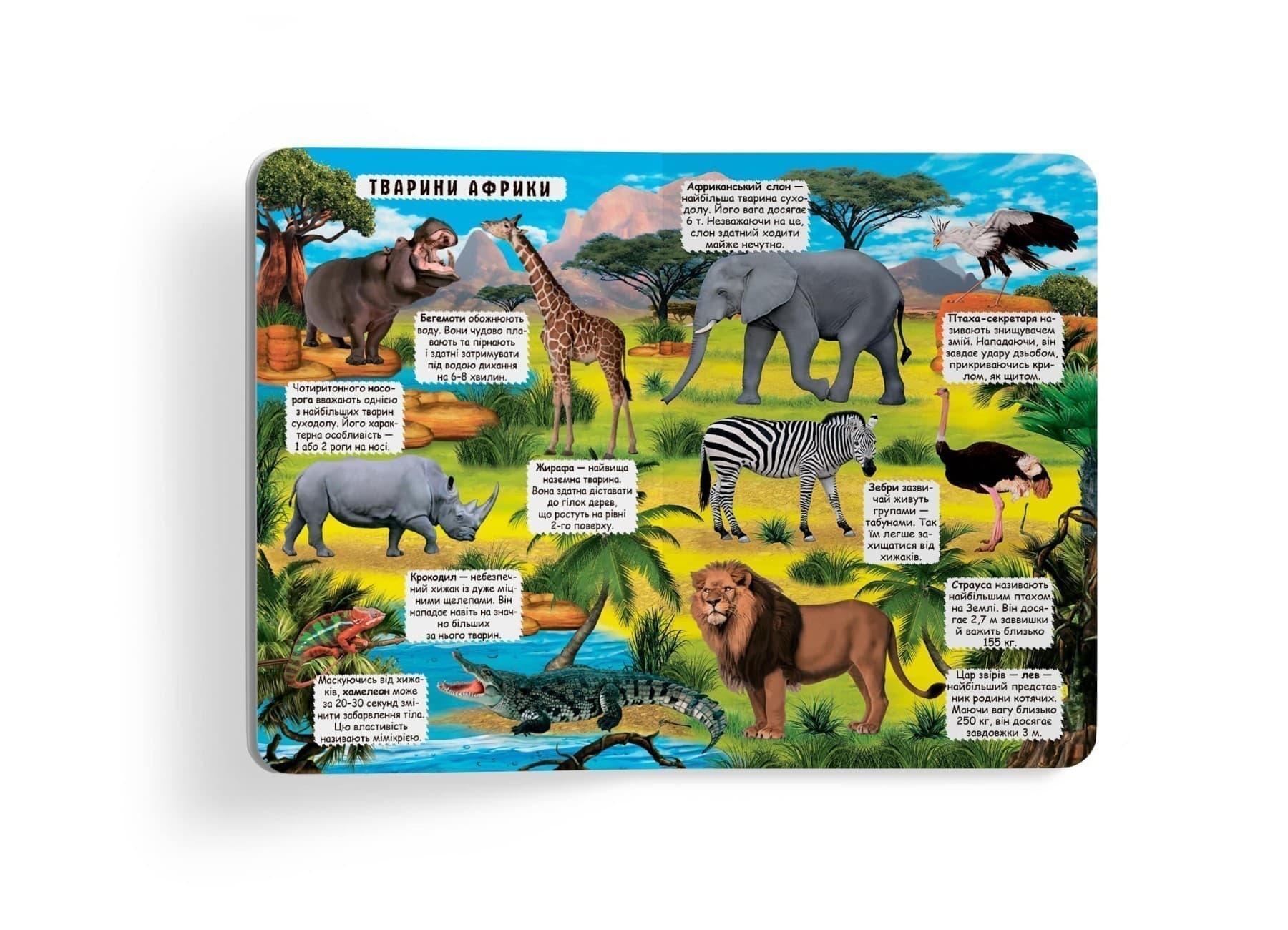 Книжка з секретними віконцями. Відкрий та дізнайся.Тварини планети Земля, фото - 3