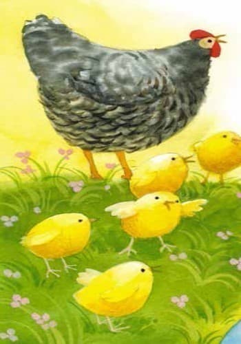 Кирпатий Кіт, фото - 2