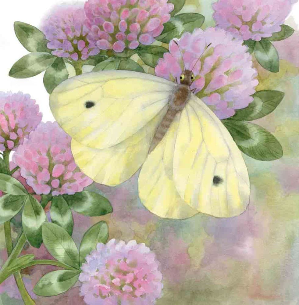 Два черв&#39;ячки, фото - 3