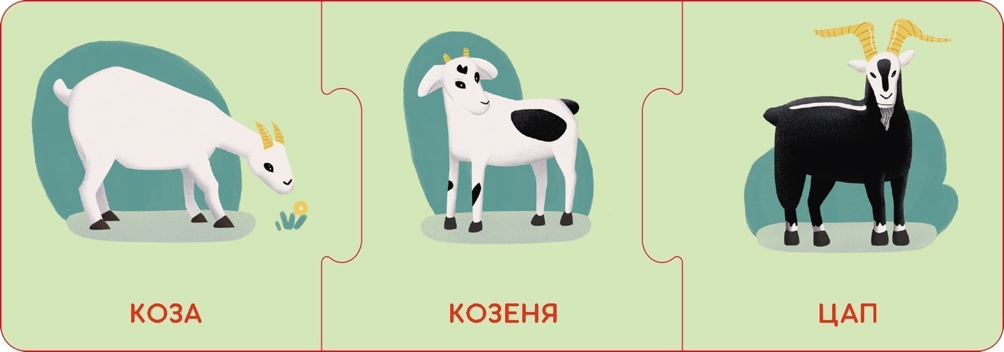 Логічні ланцюжки. Малюки тварини та їхні родини, фото - 3