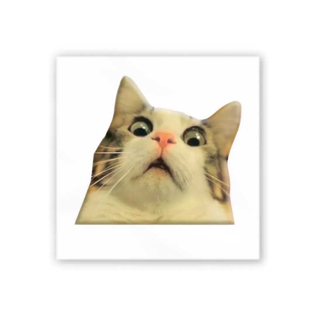 3D-стікер &amp;quot;Мем здивований котик&amp;quot;, фото - 2