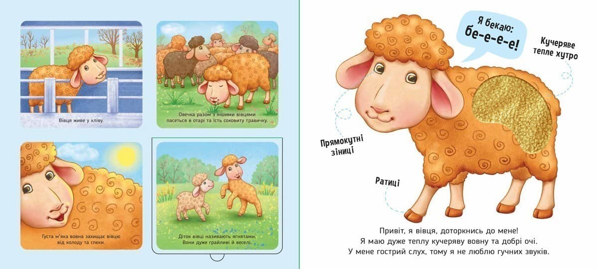 На фермі. Познайомся і погладь, фото - 3