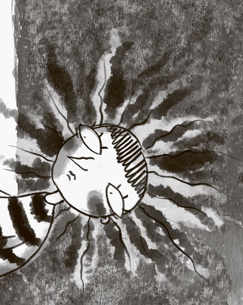 2 рівень Поганий день і веснянки, фото - 3