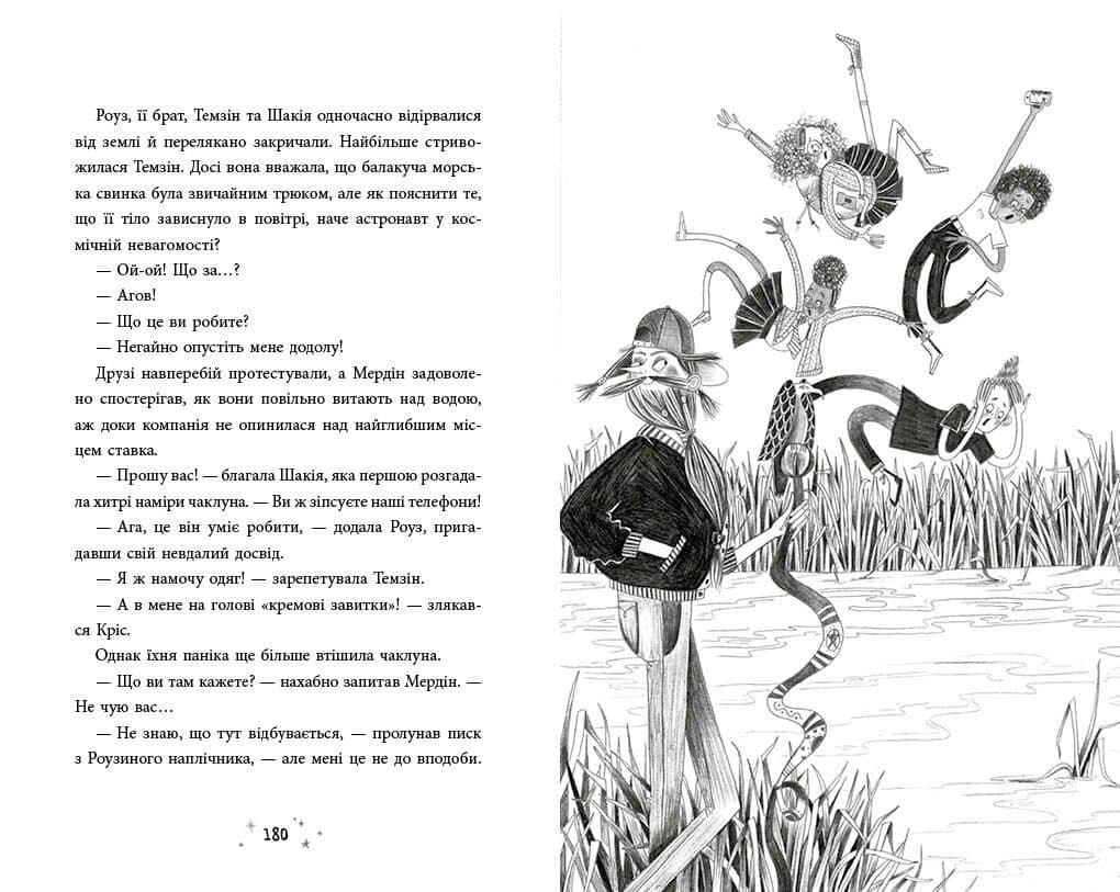 Чарівник у моєму сараї, фото - 3