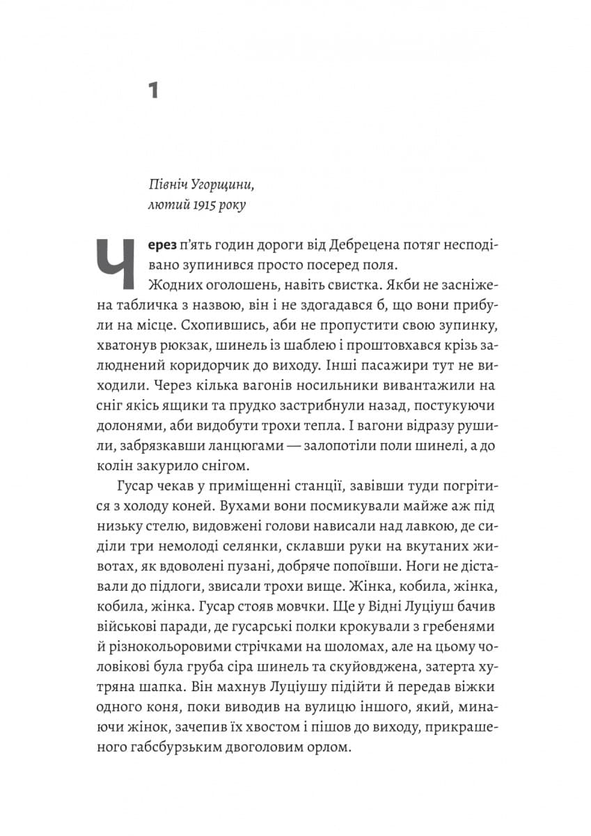 Зимовий солдат, фото - 2