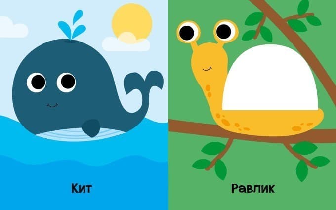 На кого схожі тваринки?, фото - 3