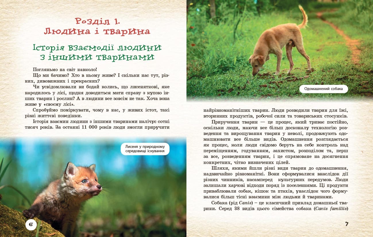 Тварини навколо нас, фото - 3