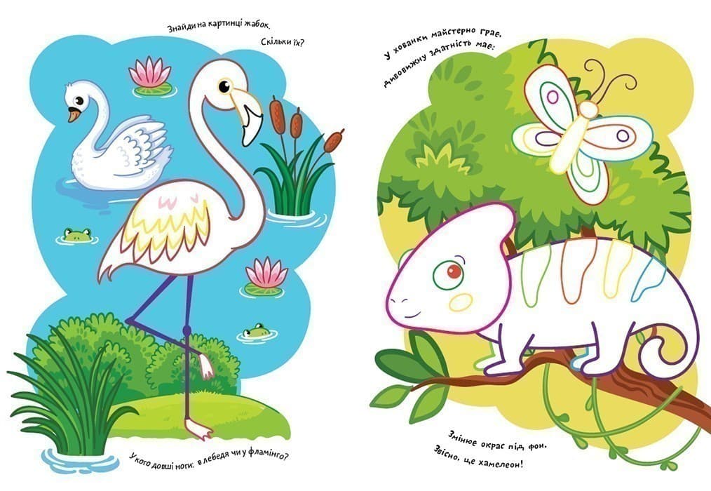 Розмальовки. Віршики. Завдання. Зоопарк, фото - 2