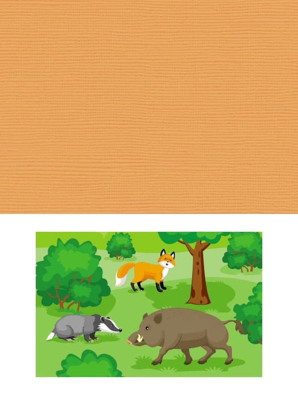 Пазли 5, фото - 3