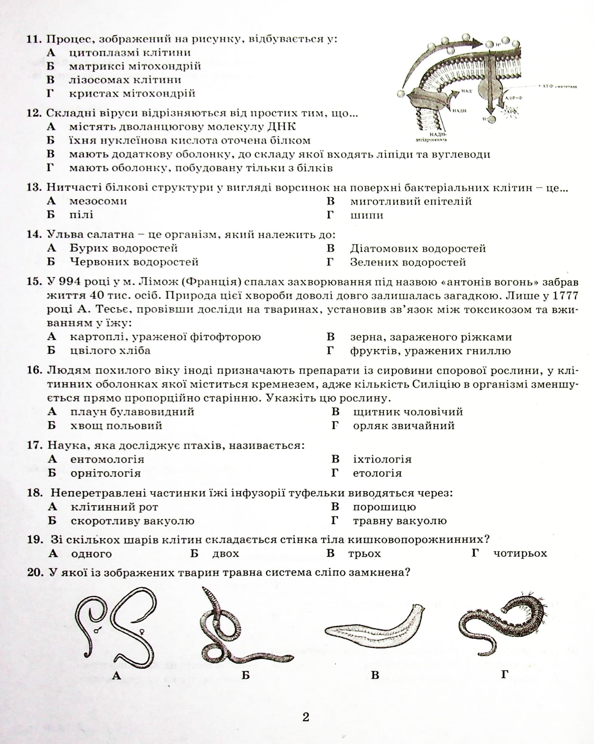 L1263U  ЗНО 2022: Типові тестові завдання Біологія (У)  10  ЗНО, фото - 2