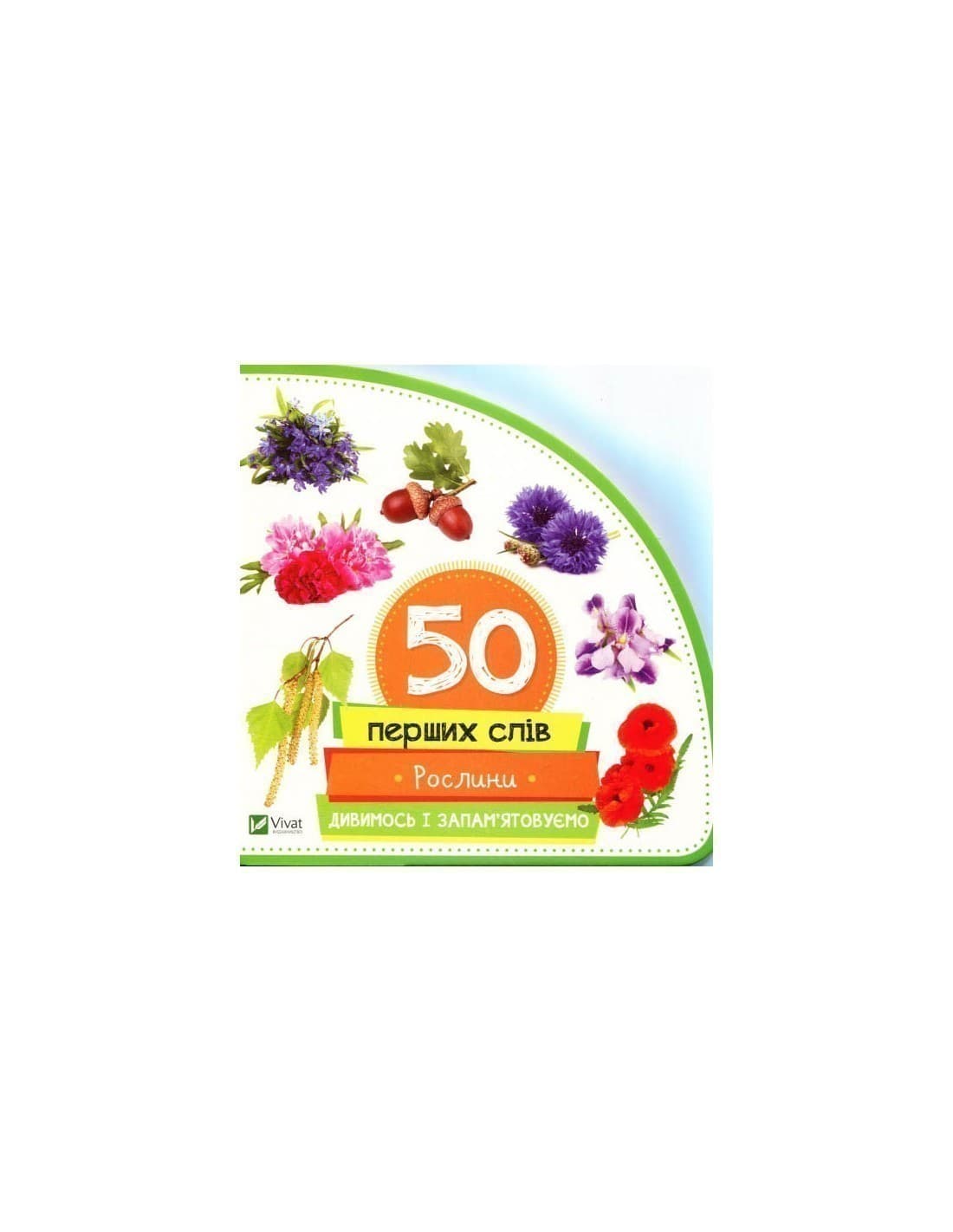 Рослини Дивимось і запам&#39;ятовуємо, фото - 1