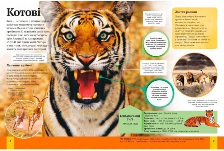 Дитяча енциклопедія тварин, фото - 2