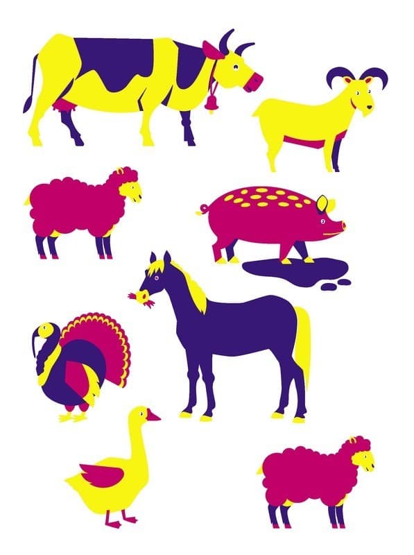 Відшукай пару, фото - 3