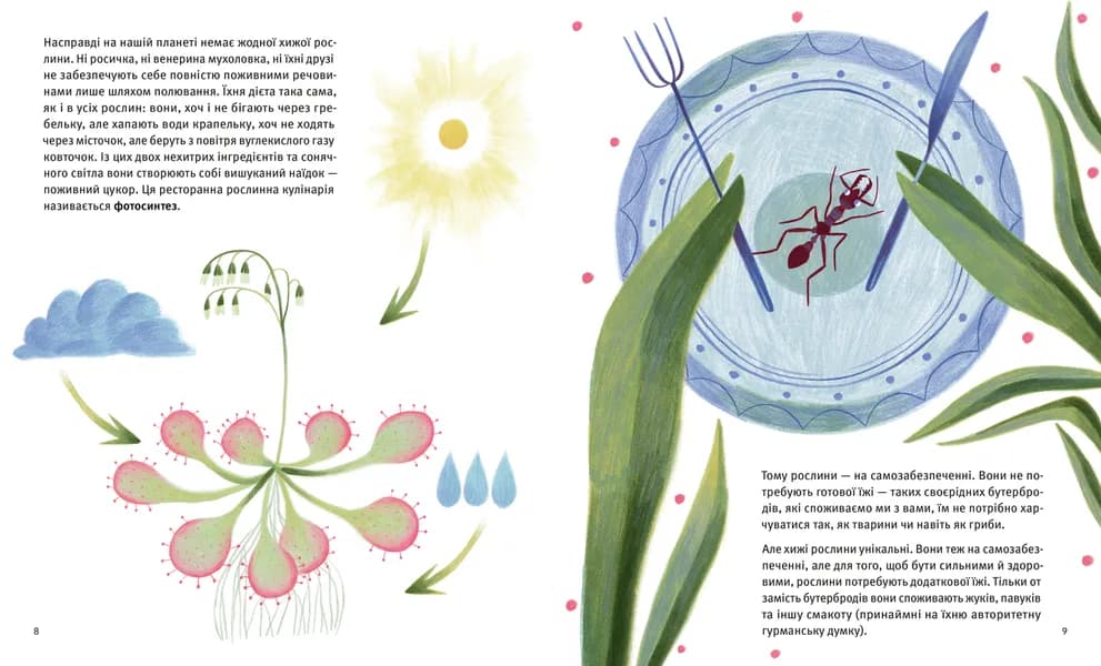 Хто такі хижі рослини?, фото - 3