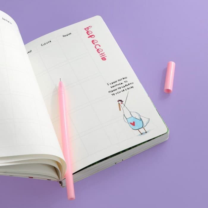 Планер Гусь Вішенка. 18+, фото - 2