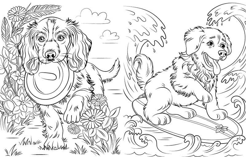 Велика книга розмальовок. Коти та собаки, фото - 2