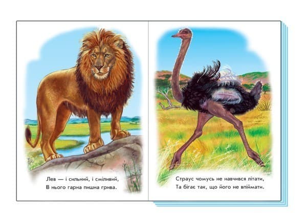 Улюблений зоопарк, фото - 3