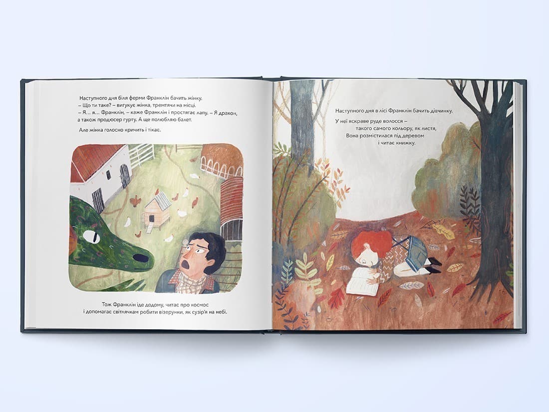 Летюча книжкова крамниця Франкліна (з пошкодженням), фото - 3