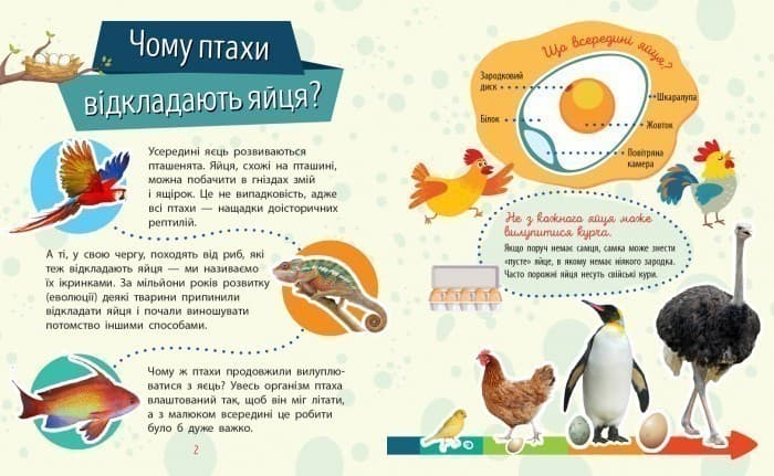 Чомусики : Тварини, фото - 3