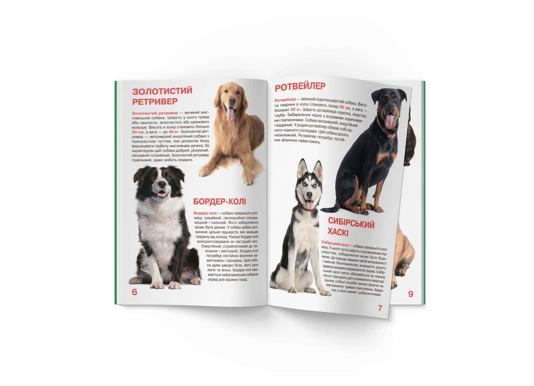 Велика книжка. Собаки, фото - 2