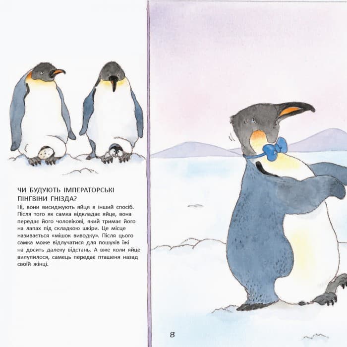 Пінгвіненя Боб, фото - 2