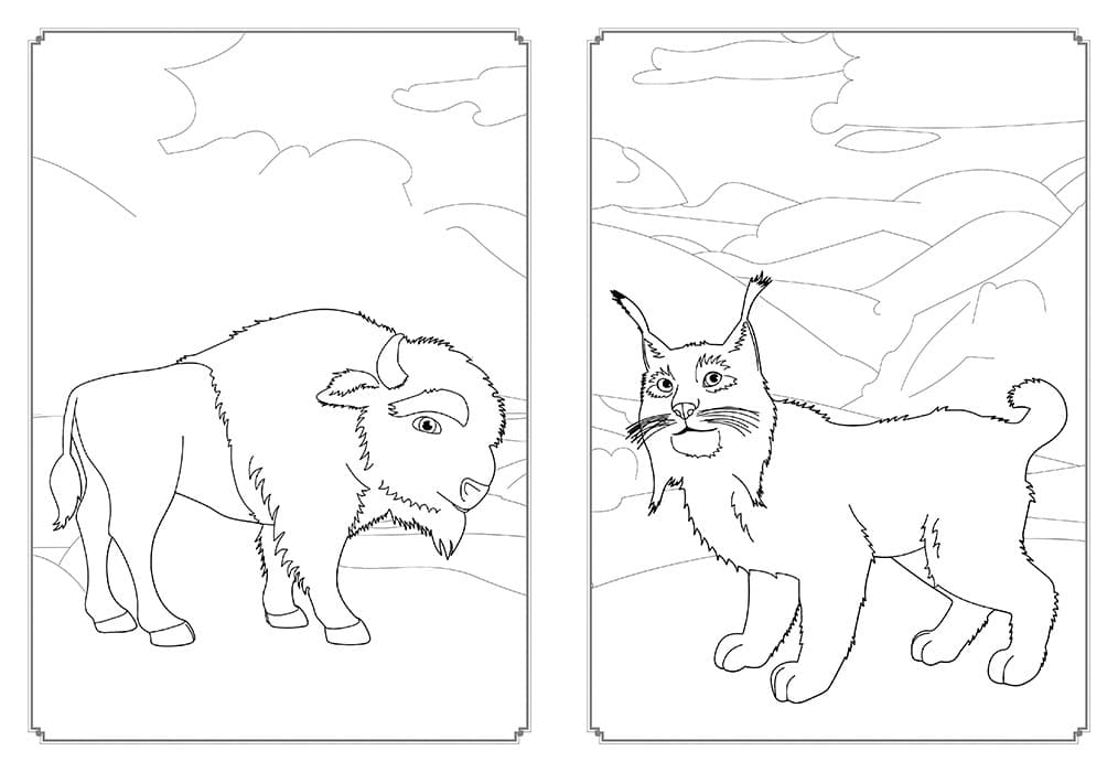 Мавка. Магія кольору. Всесвіт Мавки, фото - 2