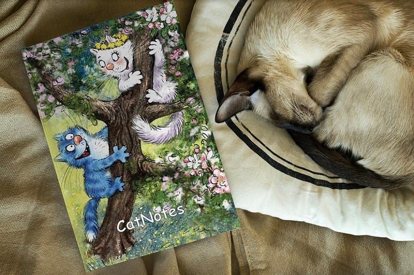 Блокнот 80 л. А5 &amp;quot;Весна&amp;quot;, фото - 1