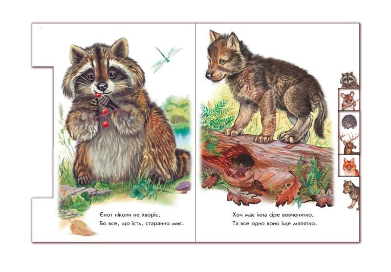 У лісі, фото - 3