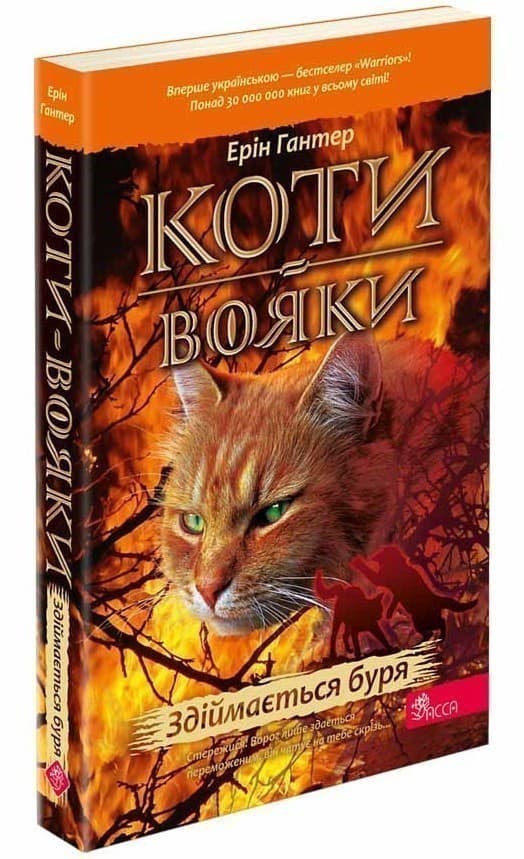 Коти - вояки. Здіймається буря (м&#39;яка обкладинка), фото - 1