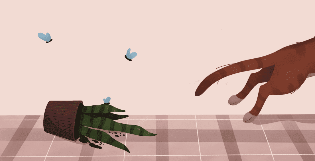 Рудольф. Пихатий кіт / Rudolph the arrogant cat, фото - 2