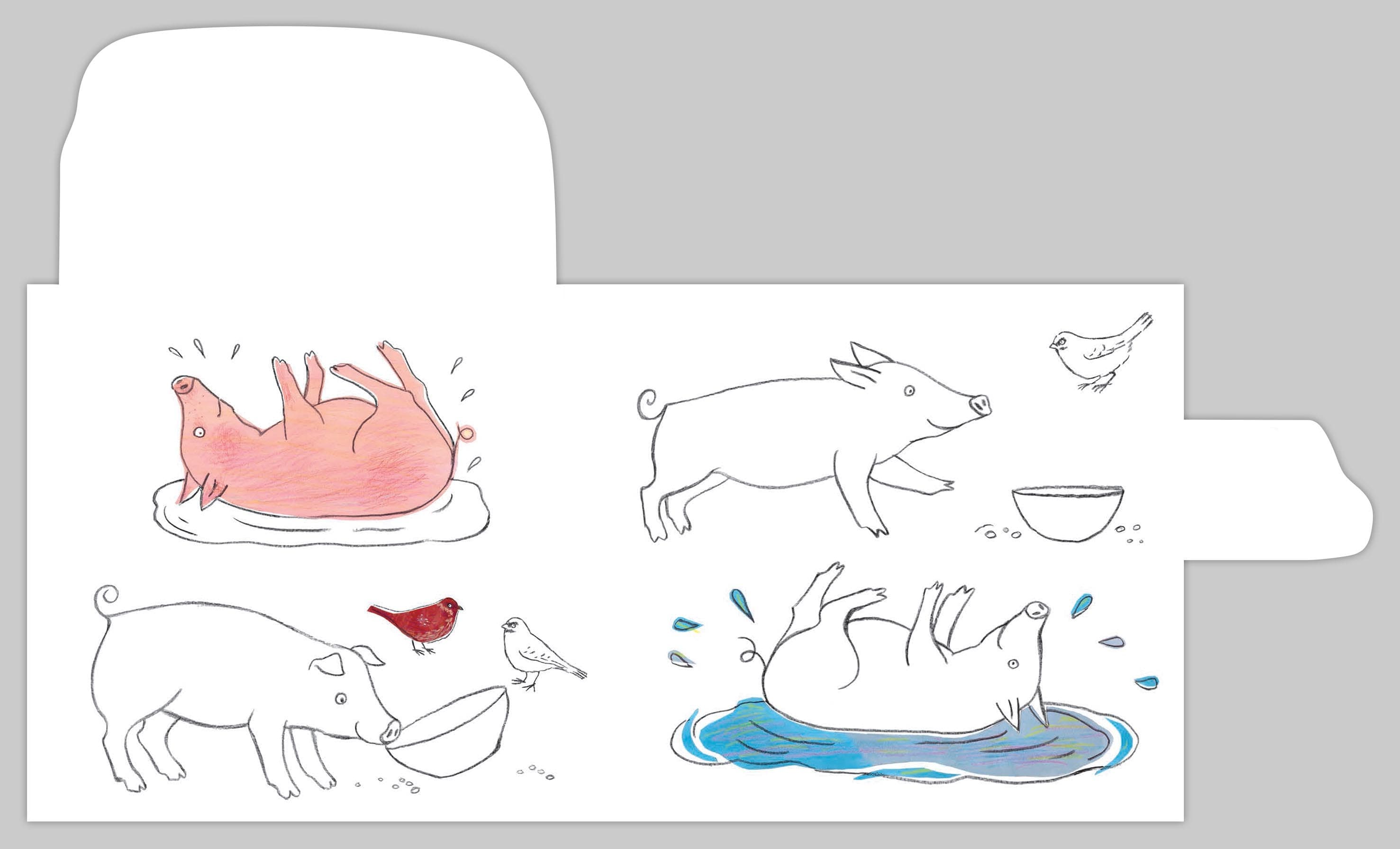 Свійські тварини, фото - 3