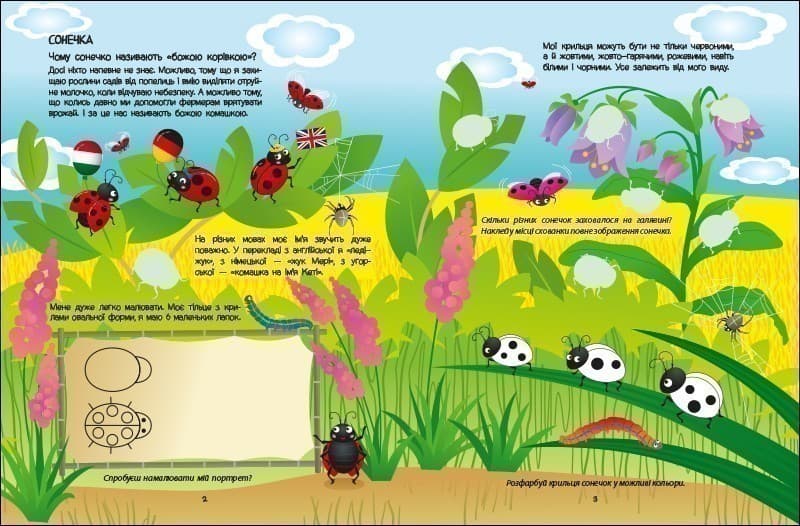 Зелена книжка про комашок, фото - 2