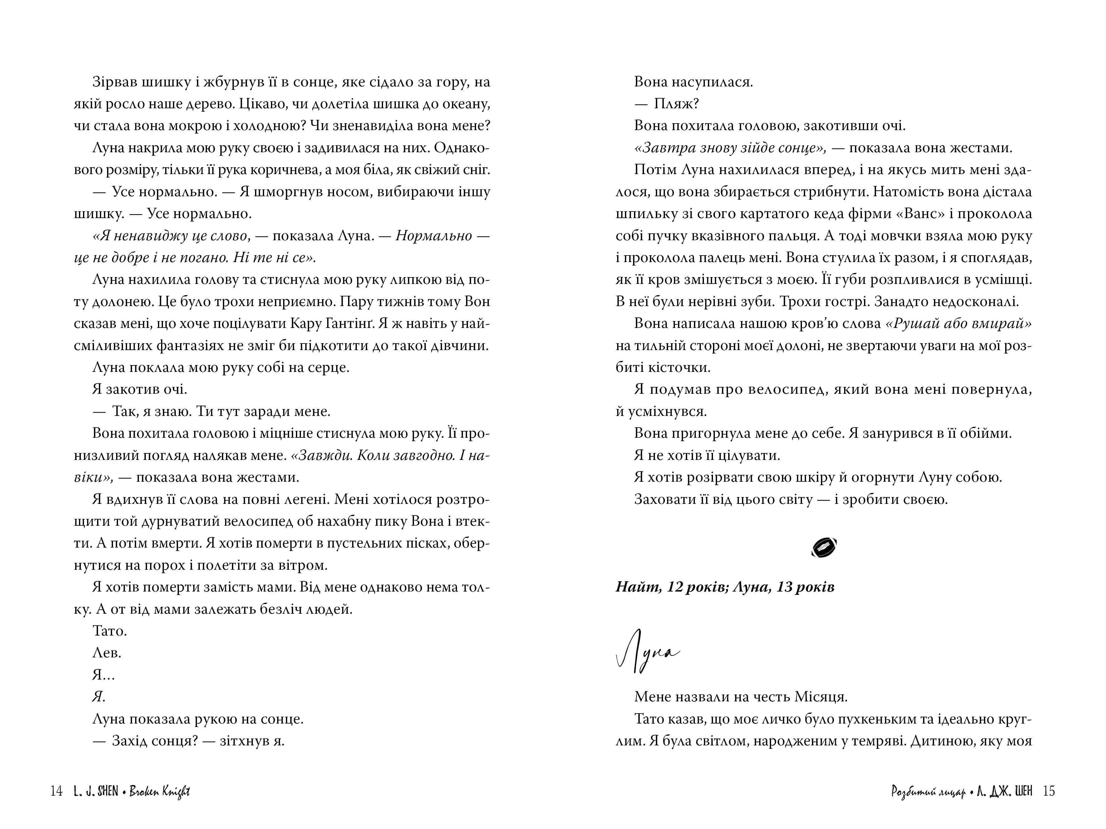 Розбитий лицар, фото - 3