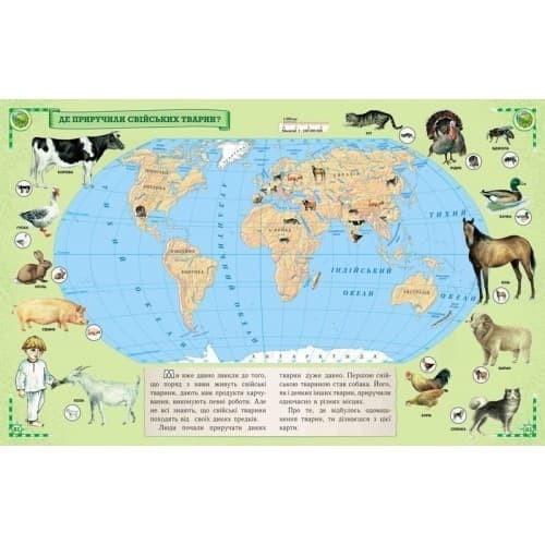 Мандруймо у Дивосвіт, фото - 2