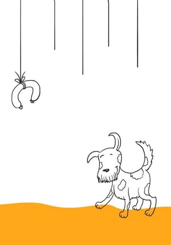 Літні пригоди, фото - 3