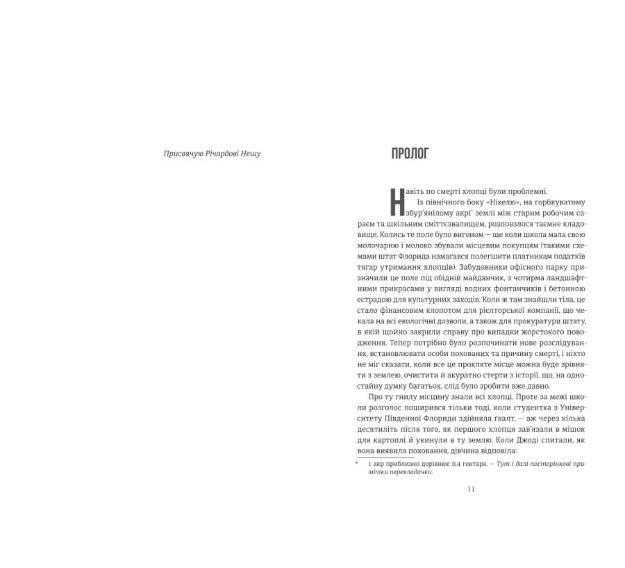 Нікелеві хлопці Колсон Вайтхед, фото - 3