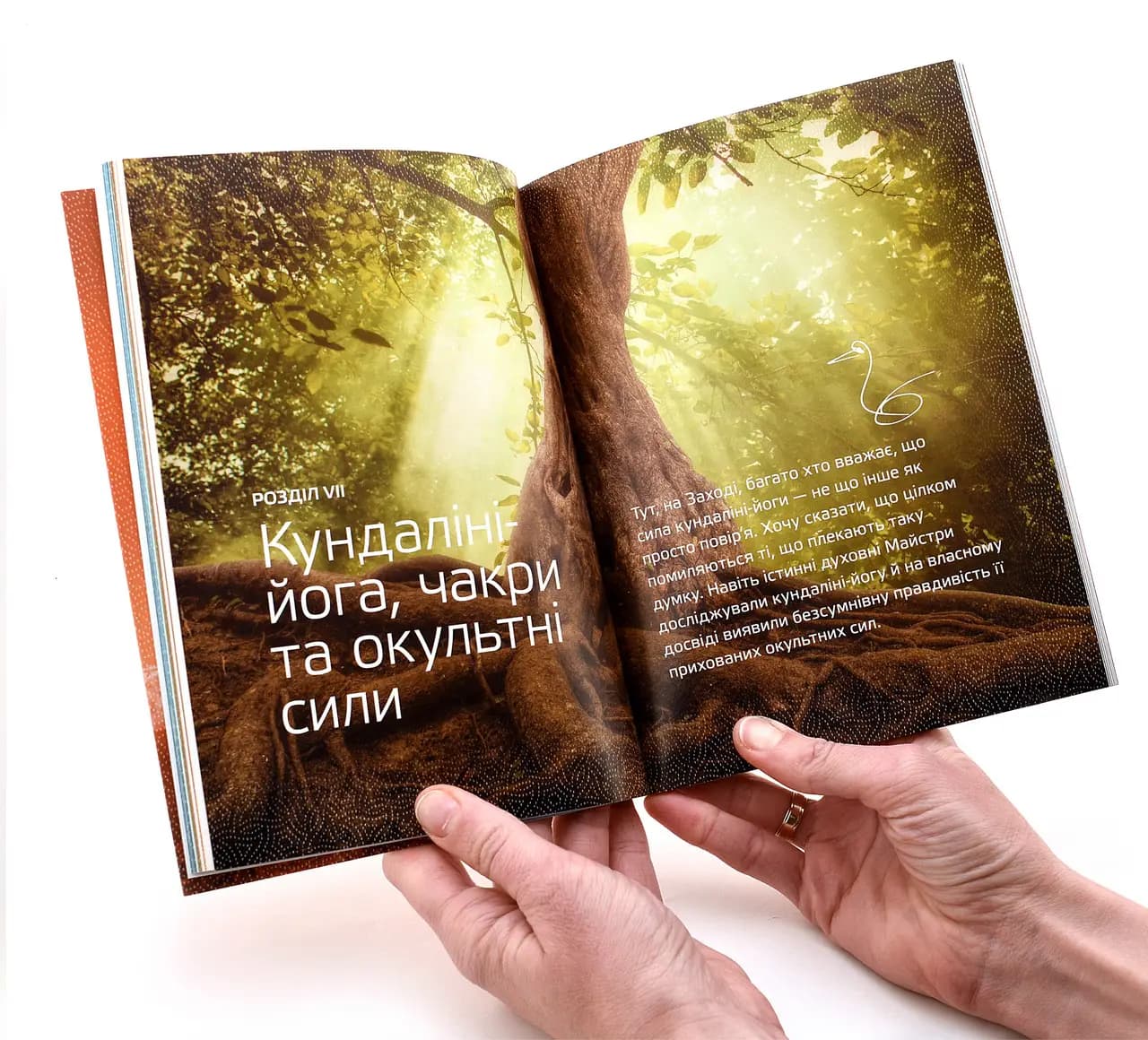 Пригода життя, фото - 2