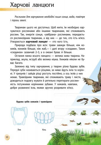 Тваринний світ, фото - 2
