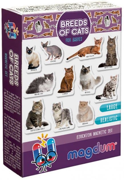 Набір магнітів &amp;quot;Породи котів&amp;quot; ML4031-13 EN, фото - 1