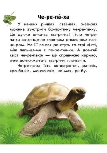 Моя Україна. Читаємо по складах: Тваринний світ річок і морів, фото - 3