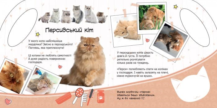 Котики, фото - 3