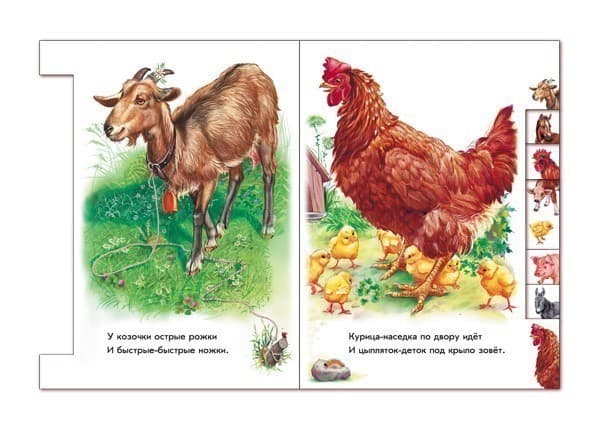 Во дворе, фото - 3