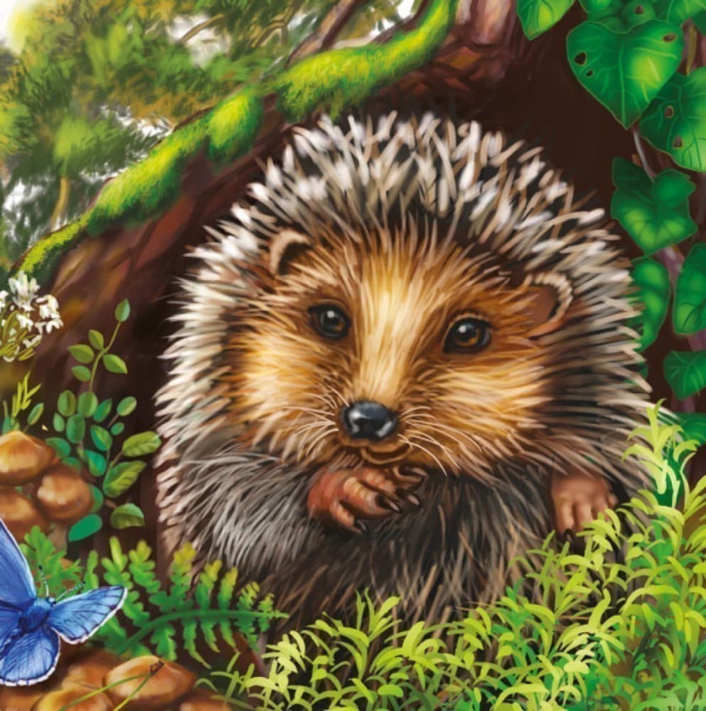 Ёжик, фото - 3