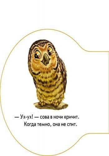 В лесу, фото - 3