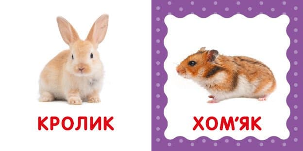 Перша книжка малюка. Свійські тварини, фото - 2