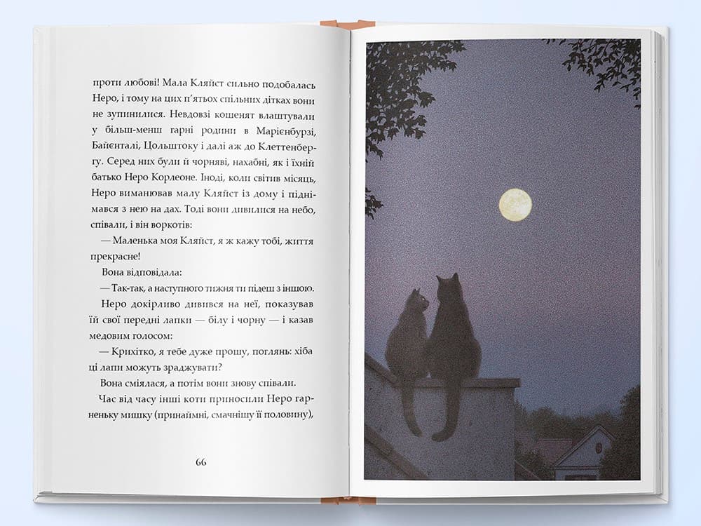 Неро Корлеоне. Історія одного кота, фото - 3