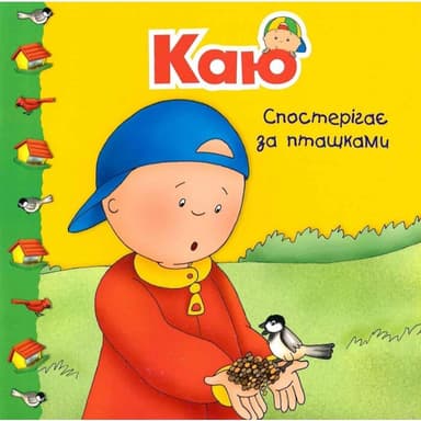 Каю спостерігає за пташками. Мої історії
