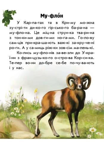 Читаємо по складах. Тваринний світ гір, фото - 3