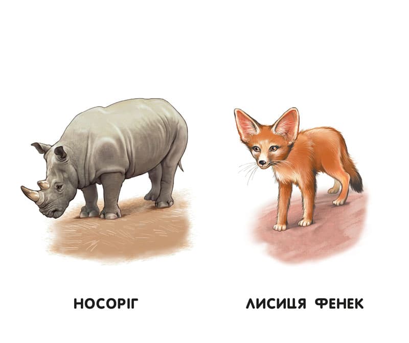 Прогулянка зоопарком, фото - 3