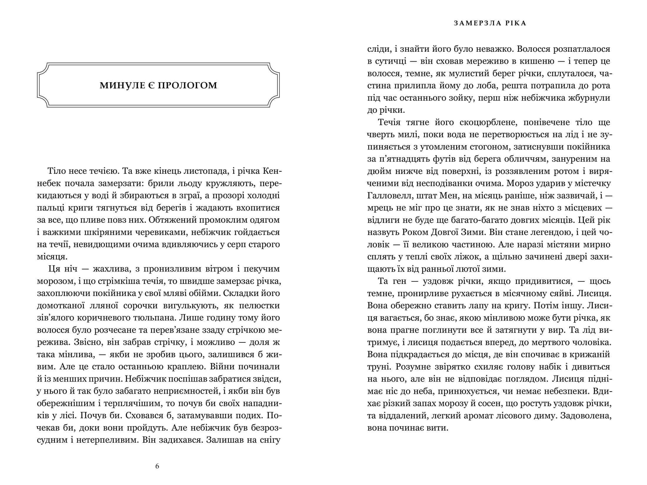 Замерзла ріка Limited edition, фото - 3